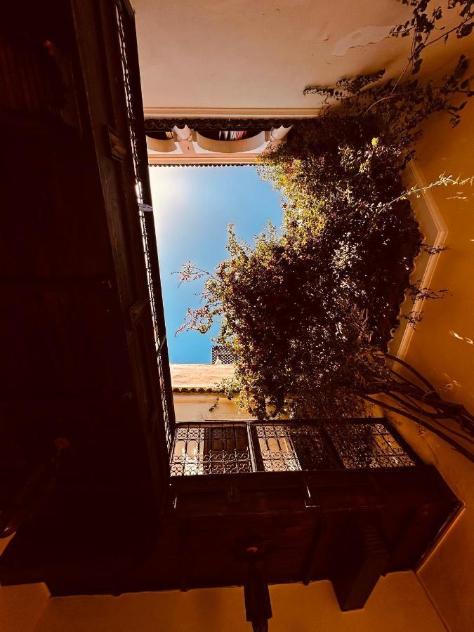 Riad Msholidays Bassin Privatise Marrakech Marrakesh Exterior foto