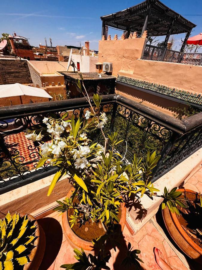 Riad Msholidays Bassin Privatise Marrakech Marrakesh Exterior foto